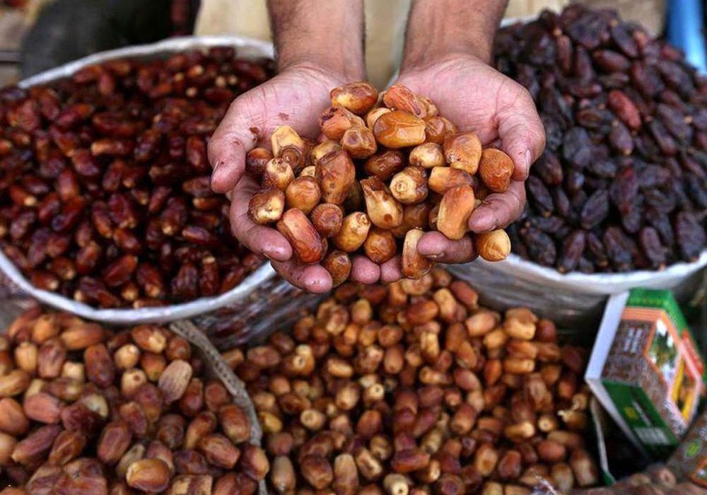 صادرات خرما به روسیه